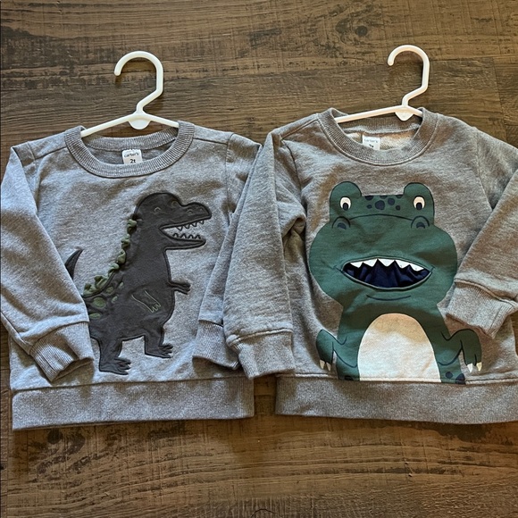 Carter's Gray Dinosaur Sweatshirts - Picture 1 of 3
